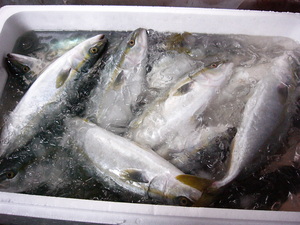 20168221246.JPG